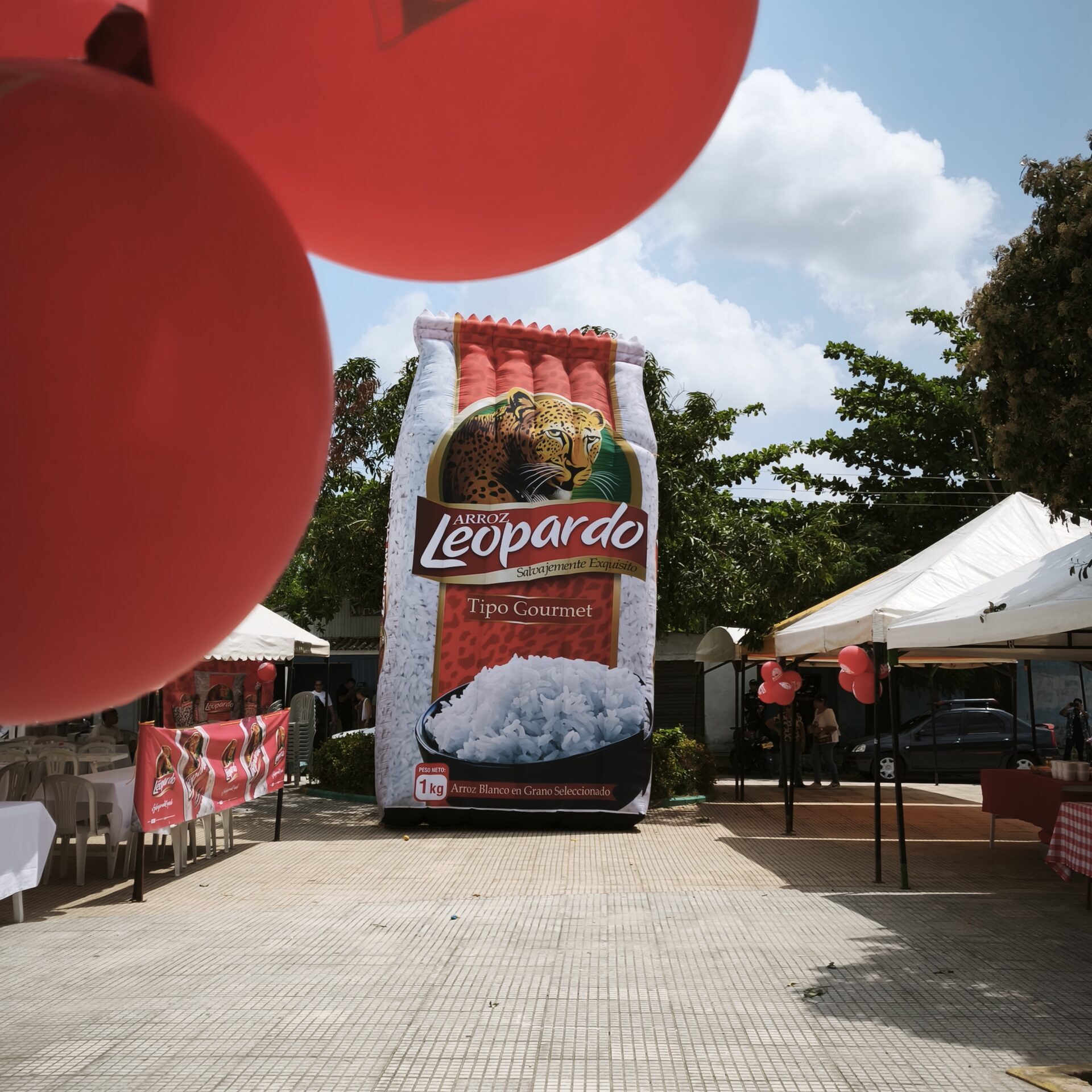 Sabores de Pital de Megua - Arroz Leopardo 5